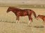 [6]